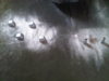IMG00014-20111022-1003.jpg
