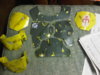 IMG00070-20111024-2307.jpg