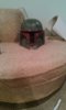 IMAG0229.jpg
