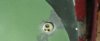MAND2.jpg