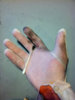gloves03.jpg
