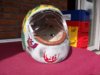 100_0786.JPG