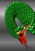 Snake Head 2.jpg