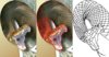 Drawing A Snake.jpg