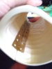 WP_000146.jpg