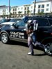 Steal the Pace Car!.jpg