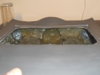 DSCN1747.JPG