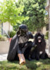 Vader - Noon.jpg