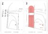 T-rex helmet_assembling_instructions_2.jpg