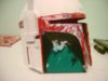 Dsc04747.jpg