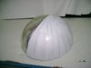dsc05322y.jpg