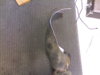 side view of backplate.jpg