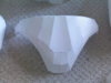 paper CT cod plate.jpg