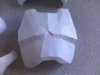 paper CT chest plate.jpg