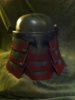 helm back.JPG