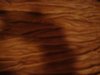183058_10150139802082990_313444_n.jpg