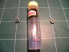 DSCN8483.jpg