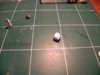 DSCN8484.jpg