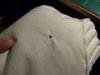 DSCN8512.jpg