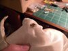 DSCN8514.jpg