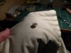 DSCN8522.jpg