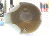 DSCN1523.JPG