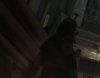 back2.jpg