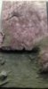 photo 1.JPG