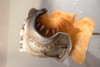 P1050800.jpg