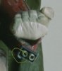crop.jpg