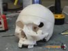 as-you-wish-helmet-project-volpin-progress-4.jpg