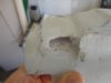 DSC02705.jpg