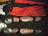DSCN3340.jpg