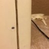 ImageUploadedByTapatalk1412699208.310721.jpg