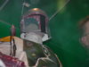 Boba-Fett-Costume-MoM-061602-083.jpg