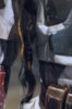 sw costumes EMP-75.jpg