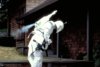 Boba-Fett-Costume-Screen-Test-03.jpg