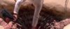 Electrostaff_03.JPG