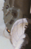 light..PNG