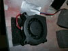 PC110891.JPG