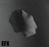 FPH2-photoshop-dent.gif