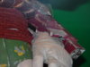 Boba-Fett-Costume-MoM-061602-199.jpg