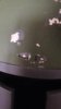 12562965_10153755154726138_1205320673_o.jpg