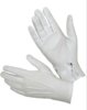 Parade Gloves.jpg