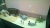 WP_20160324_009.jpg