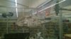WP_20160324_006.jpg