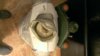 WP_20160601_019.jpg
