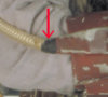 close-up.jpg