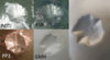 compare2.jpg