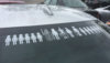 backofcar.jpg